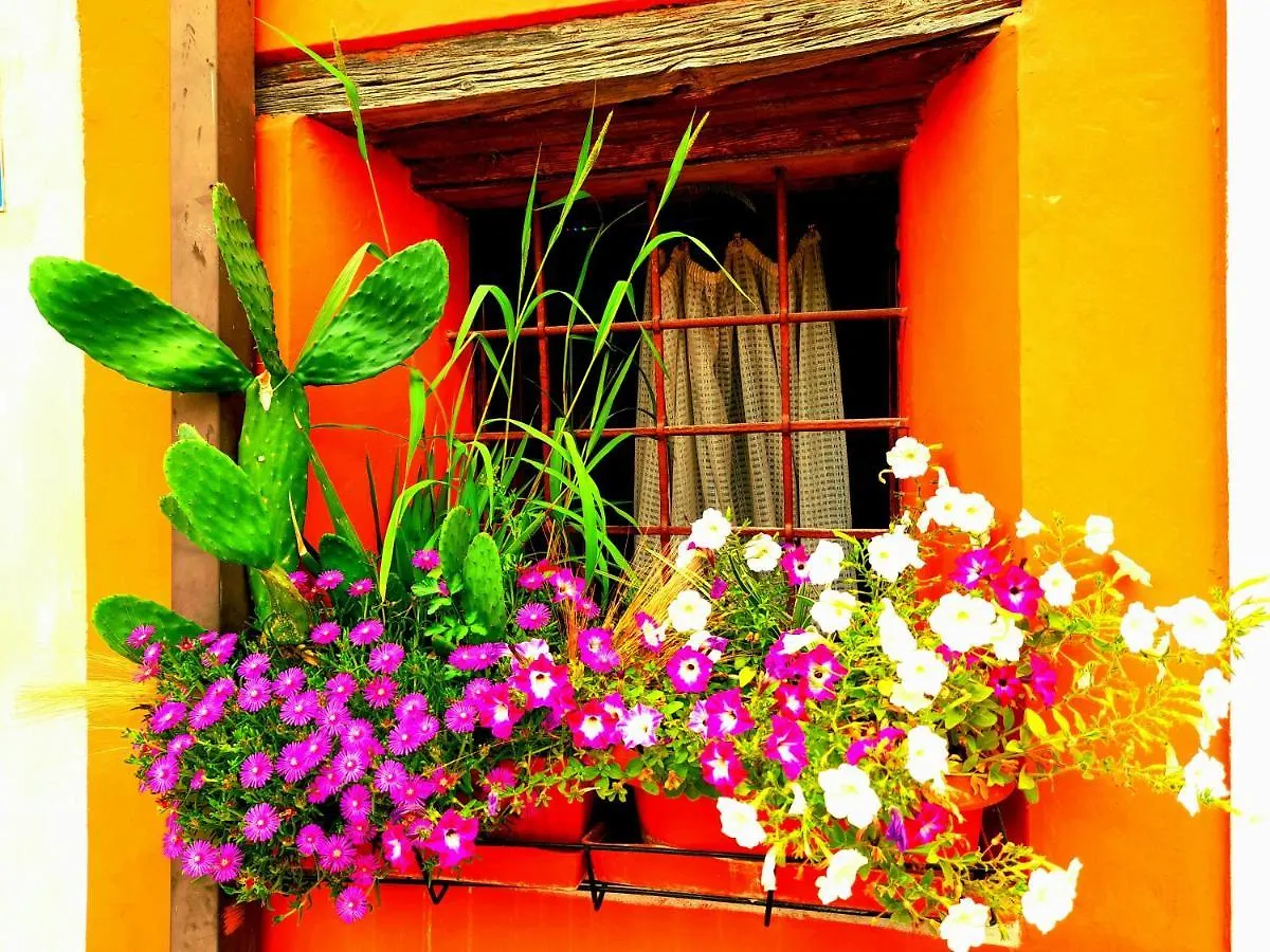 Zanina Country House Peschiera del Garda